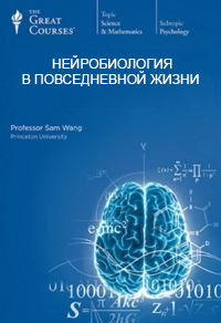 Нейробиология в повседневной жизни. Часть 2 - Вонг_0.jpg